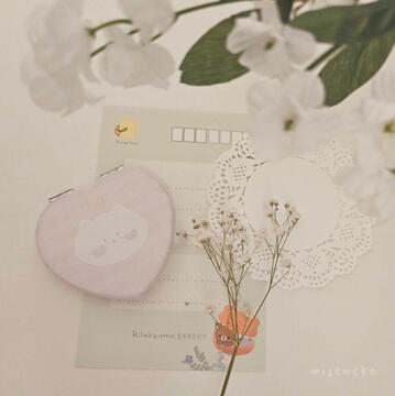 purrfect mirror (aug 2023)