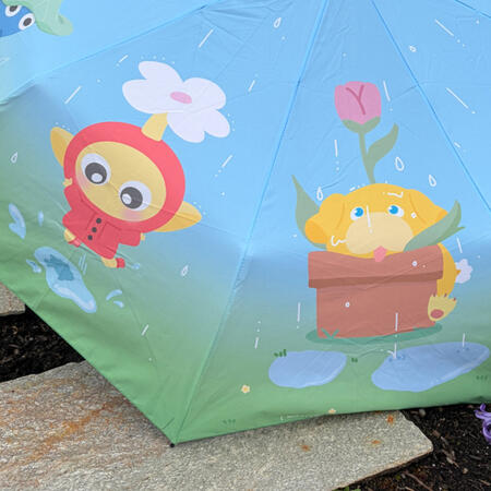 rainy days (feb 2026)